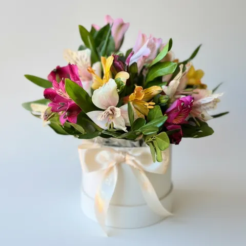 Box de Astromelias, buquês de flores com entrega em Aracaju
