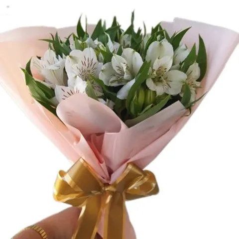Buquê de Astro Melias Nº1, buquês de flores com entrega em Aracaju