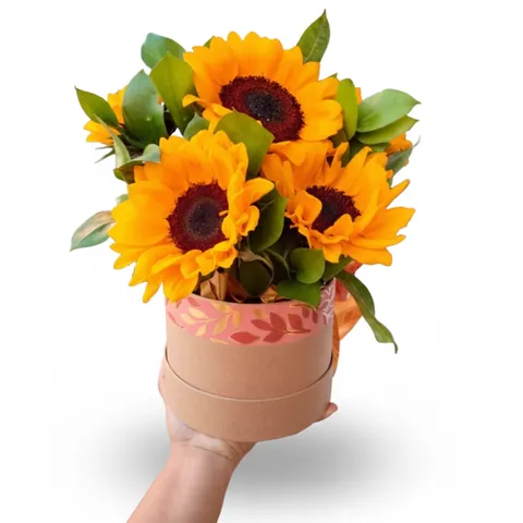 Box Girassol, buquês de flores com entrega em Aracaju